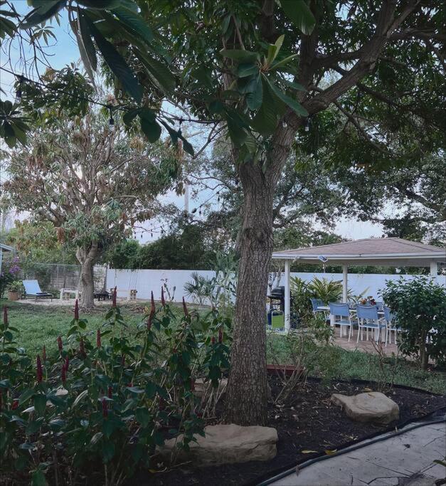 Beautiful Main House In West Palm Beach Exteriér fotografie